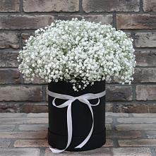 Цветочная композиция из Гипсофила в шляпной коробке #REPLACE_PRED# Кулебаки